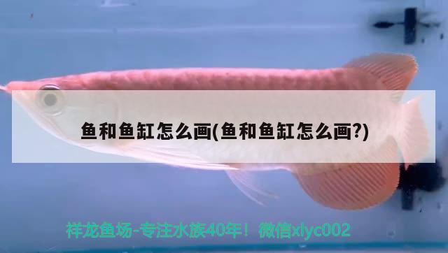 魚和魚缸怎么畫(魚和魚缸怎么畫?)