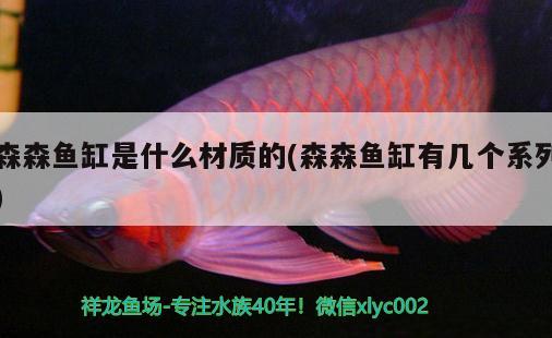 森森魚缸是什么材質(zhì)的(森森魚缸有幾個系列) iwish愛唯希品牌魚缸