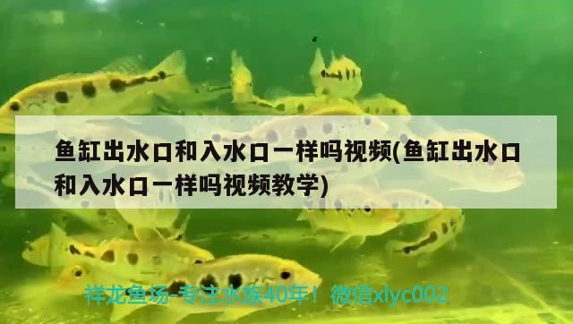 魚缸出水口和入水口一樣嗎視頻(魚缸出水口和入水口一樣嗎視頻教學(xué))