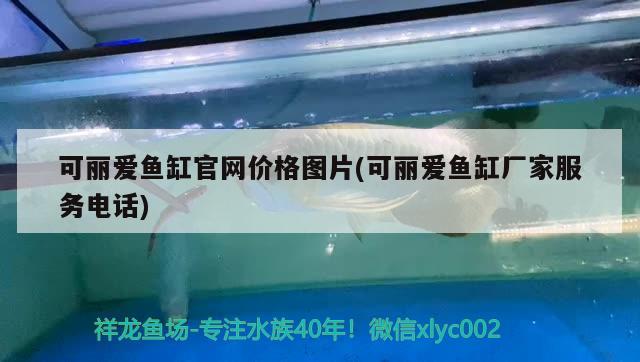 長沙魚缸市場在哪里？，長沙水族市場、花鳥魚寵物市場 魟魚百科 第1張