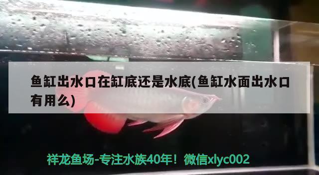 魚缸出水口在缸底還是水底(魚缸水面出水口有用么) 稀有金龍魚