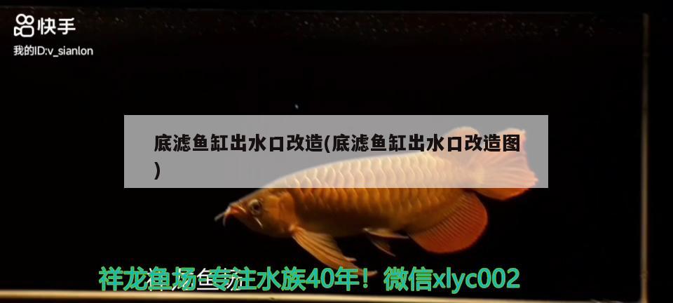 底濾魚缸出水口改造(底濾魚缸出水口改造圖) 白化火箭魚