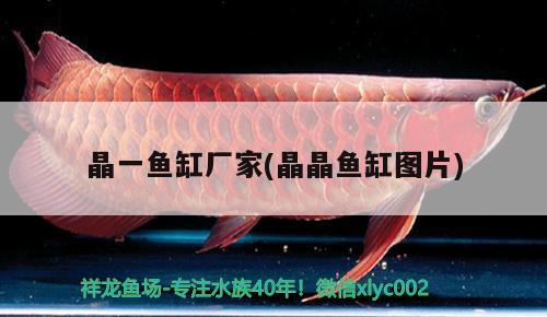 魚缸過濾器使用方法(魚缸過濾器怎樣使用) 黑桃A魚苗