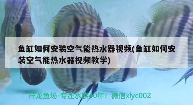 魚缸如何安裝空氣能熱水器視頻(魚缸如何安裝空氣能熱水器視頻教學(xué)) 祥禾Super Red紅龍魚