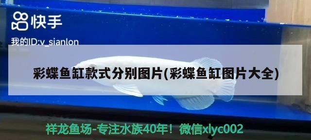 安彩魚缸過濾器進(jìn)水口怎么拆開圖解(魚缸下水過濾安裝圖片)