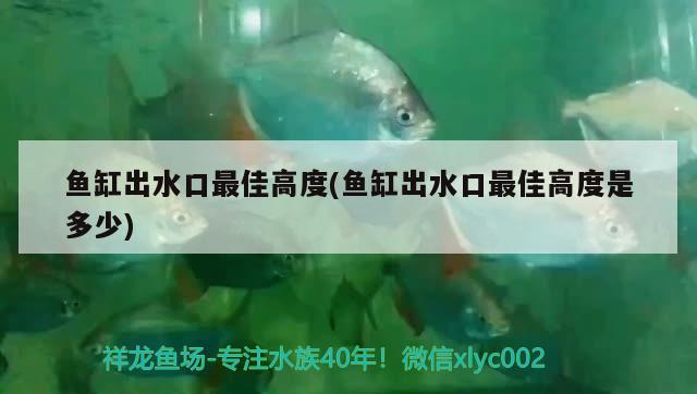 魚缸出水口最佳高度(魚缸出水口最佳高度是多少) 二氧化碳設(shè)備