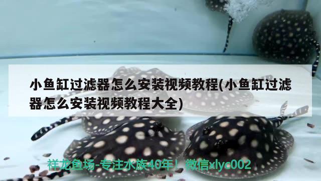 什么牌子魚(yú)缸水泵靜音質(zhì)量好(靜音魚(yú)缸水泵哪個(gè)品牌好) 魚(yú)缸水泵