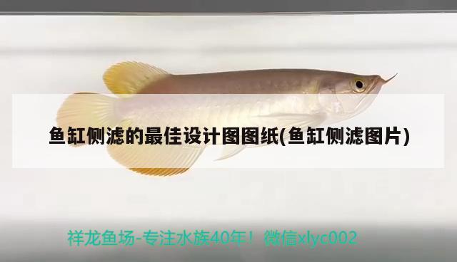 魚缸側(cè)濾的最佳設(shè)計圖圖紙(魚缸側(cè)濾圖片)