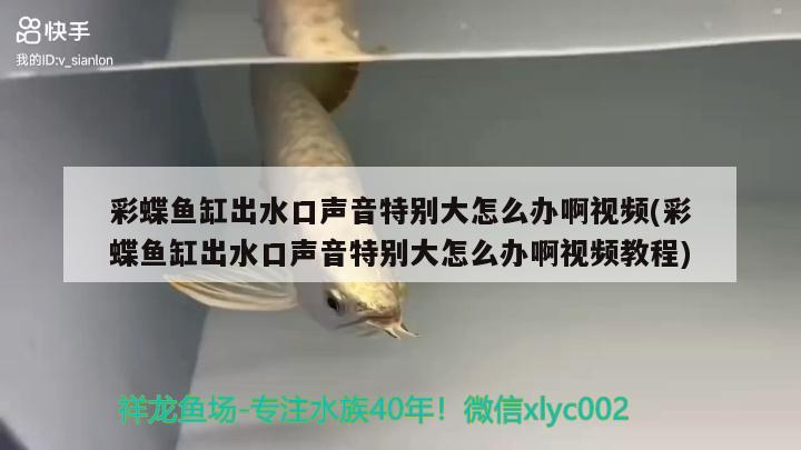 虎紋恐龍魚生長速度多少正常?。ɑ⒓y恐龍魚生長速度多少正常啊視頻講解）