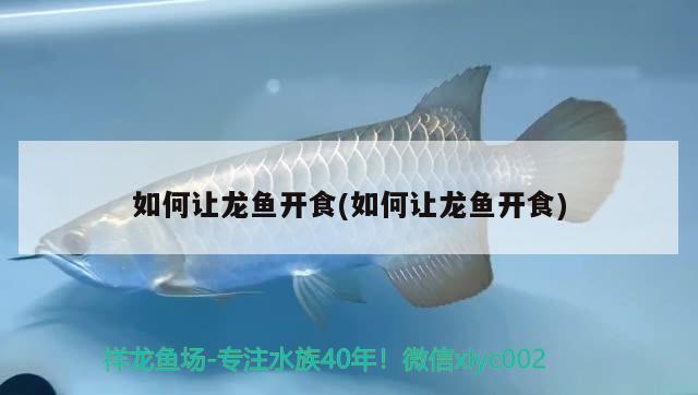 魚缸造景圖片擺法簡單又漂亮魚缸石頭造景圖片擺法，簡單又漂亮的魚缸石頭造景圖片擺法