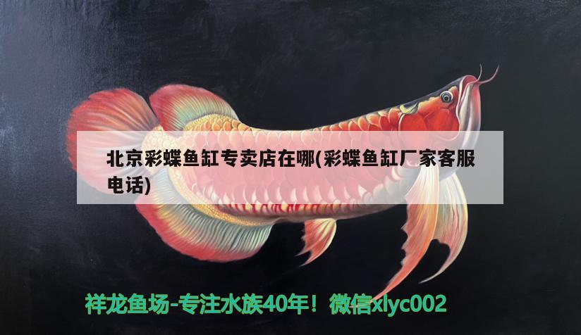 北京彩蝶魚缸專賣店在哪(彩蝶魚缸廠家客服電話)