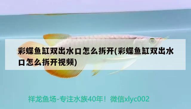 彩蝶魚缸雙出水口怎么拆開(彩蝶魚缸雙出水口怎么拆開視頻) 虎斑恐龍魚