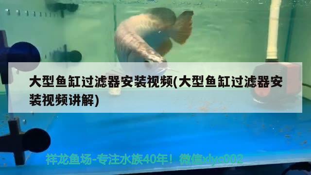 大型魚缸過濾器安裝視頻(大型魚缸過濾器安裝視頻講解) 暹羅巨鯉