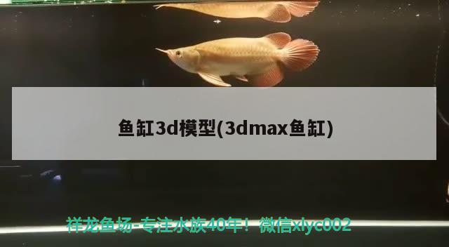 魚缸3d模型(3dmax魚缸)