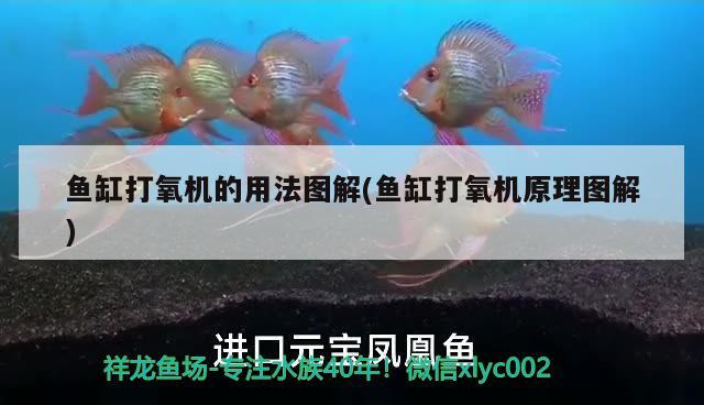 魚缸打氧機的用法圖解(魚缸打氧機原理圖解) 水族燈（魚缸燈）