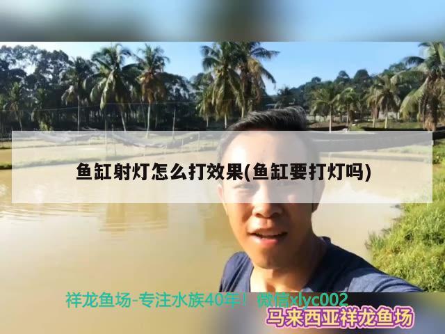 魚缸射燈怎么打效果(魚缸要打燈嗎) 過背金龍魚