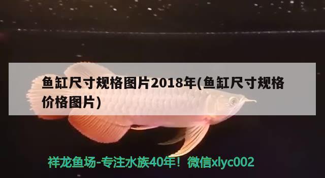 魚缸尺寸規(guī)格圖片2018年(魚缸尺寸規(guī)格價格圖片) 照明器材