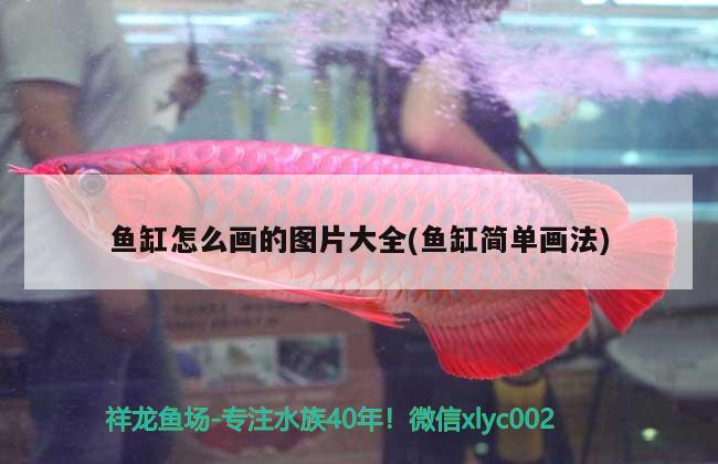 魚缸怎么畫的圖片大全(魚缸簡單畫法) 白化火箭魚