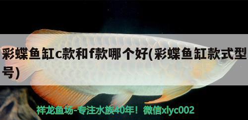 彩蝶魚缸c款和f款哪個好(彩蝶魚缸款式型號)