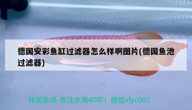 德國安彩魚缸過濾器怎么樣啊圖片(德國魚池過濾器) 藍(lán)帆三間魚 第2張