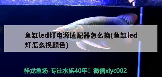 魚缸led燈電源適配器怎么換(魚缸led燈怎么換顏色) 狗頭魚