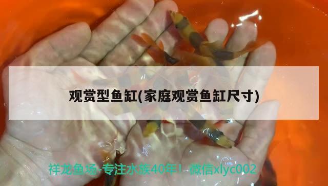 觀賞型魚缸(家庭觀賞魚缸尺寸) 羅漢魚批發(fā)