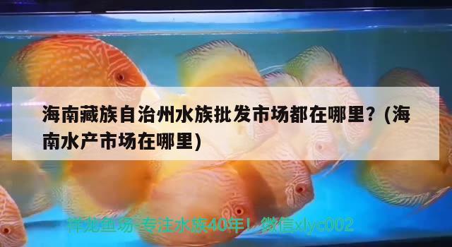 海南藏族自治州水族批發(fā)市場都在哪里？(海南水產(chǎn)市場在哪里)