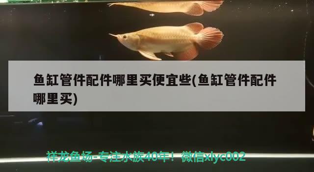 魚缸管件配件哪里買便宜些(魚缸管件配件哪里買) 廣州水族批發(fā)市場