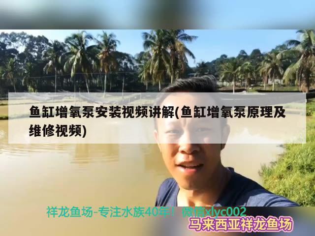 魚缸增氧泵安裝視頻講解(魚缸增氧泵原理及維修視頻)