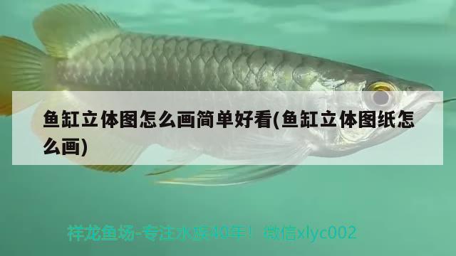 魚缸立體圖怎么畫簡(jiǎn)單好看(魚缸立體圖紙?jiān)趺串? 稀有金龍魚