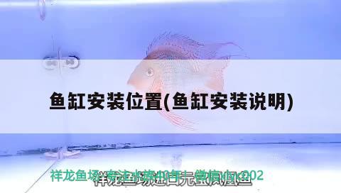 魚缸安裝位置(魚缸安裝說明)