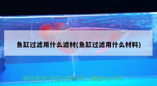 魚缸過濾用什么濾材(魚缸過濾用什么材料)