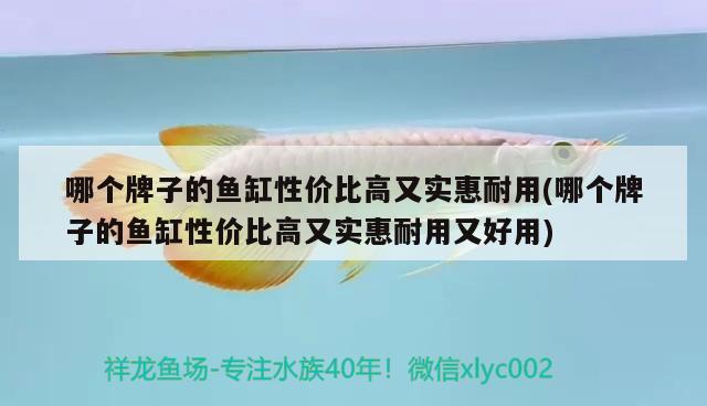 哪個(gè)牌子的魚(yú)缸性價(jià)比高又實(shí)惠耐用(哪個(gè)牌子的魚(yú)缸性價(jià)比高又實(shí)惠耐用又好用)