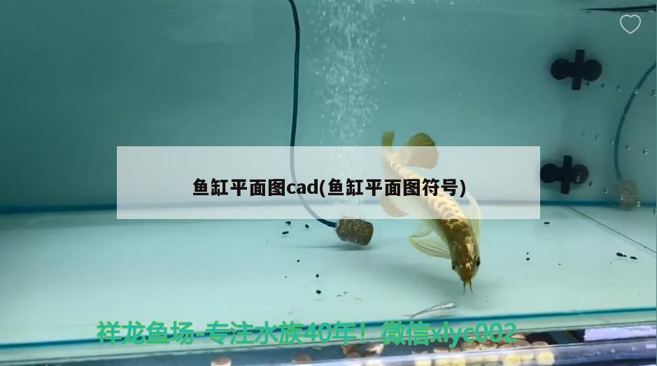 魚缸平面圖cad(魚缸平面圖符號)