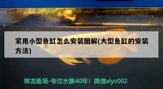 魚(yú)缸品牌排行榜前十名圖片：魚(yú)缸品牌排行榜前十名圖片及價(jià)格