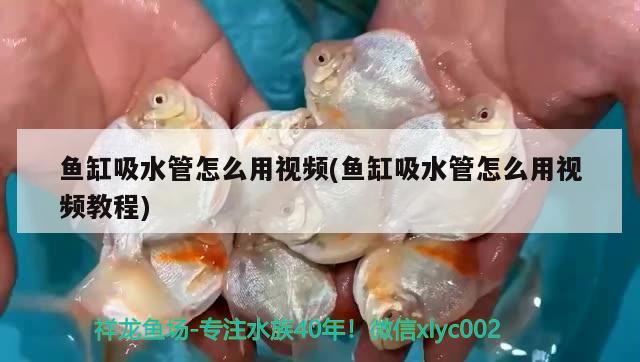 魚缸吸水管怎么用視頻(魚缸吸水管怎么用視頻教程)