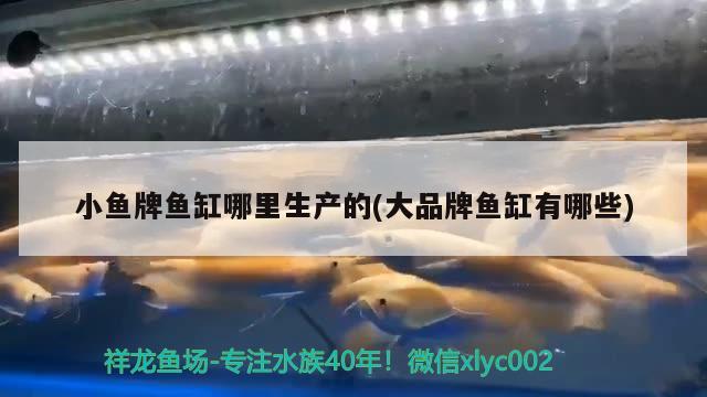 小魚牌魚缸哪里生產(chǎn)的(大品牌魚缸有哪些) 綠皮辣椒小紅龍