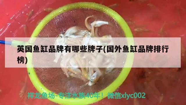 英國(guó)魚缸品牌有哪些牌子(國(guó)外魚缸品牌排行榜) 殺菌消毒設(shè)備