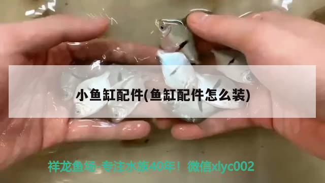 龍魚蒙眼是什么原因造成的怎樣治療(龍魚蒙眼怎么回事)