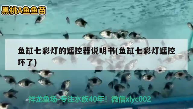 魚缸七彩燈的遙控器說明書(魚缸七彩燈遙控壞了) 祥龍超血紅龍魚