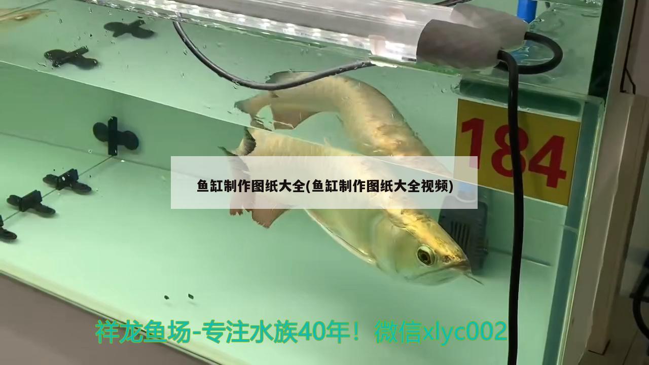 長大點了 虎魚百科 第2張