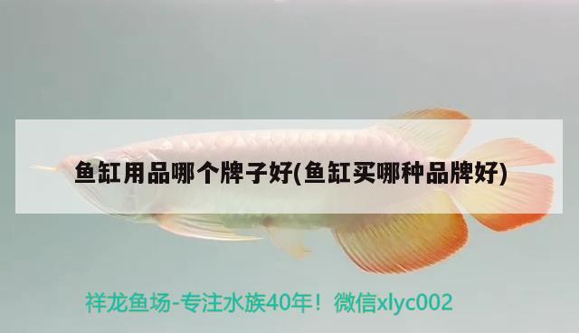 求大神賜教魚缸里有蛋白蟲了有什么好的解決辦法～