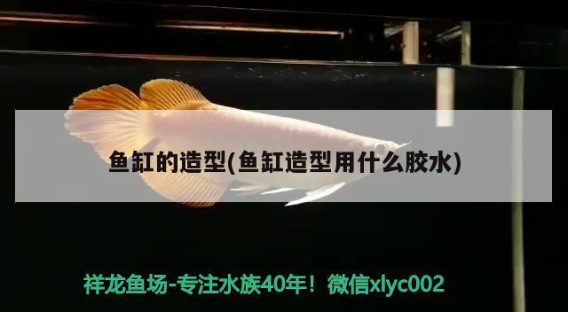 魚缸的造型(魚缸造型用什么膠水) 蘇虎