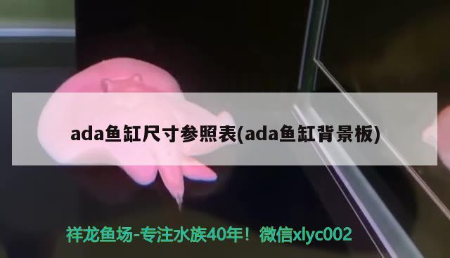 ada魚缸尺寸參照表(ada魚缸背景板) 元寶鳳凰魚