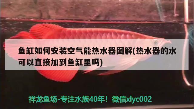 魚缸如何安裝空氣能熱水器圖解(熱水器的水可以直接加到魚缸里嗎)