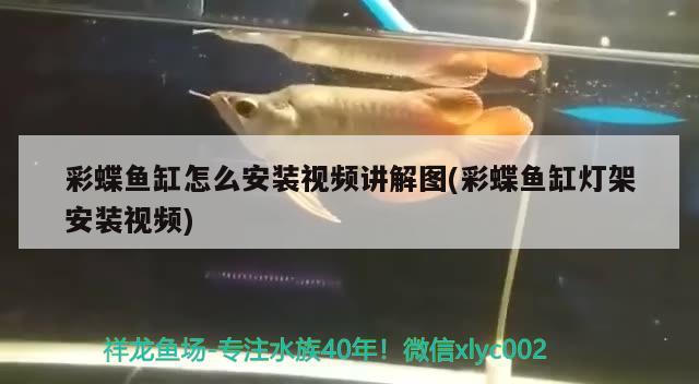 彩蝶魚缸怎么安裝視頻講解圖(彩蝶魚缸燈架安裝視頻) 沖氧泵