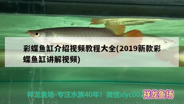 彩蝶魚缸介紹視頻教程大全(2019新款彩蝶魚缸講解視頻)