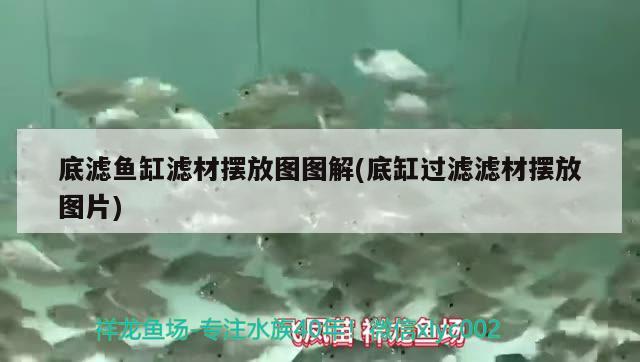 魚缸十大品牌排行榜海宇(水族魚缸十大品牌) 野生地圖魚