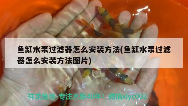 魚缸水泵過濾器怎么安裝方法(魚缸水泵過濾器怎么安裝方法圖片)