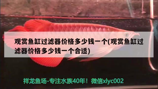 觀賞魚缸過濾器價格多少錢一個(觀賞魚缸過濾器價格多少錢一個合適)